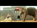 Jodhaa Akbar Hrithik Roshan Controls A Wild Elephant HQ