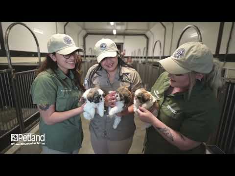 Kennel Tour 160