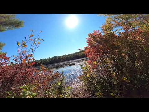 THE WARNER TRAIL Sec 8, F. Gilbert Hills Forest to Lakeview Rd to Rt.140 Foxboro, MA Vid 4 of 8