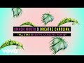 Smash Mouth Breathe Carolina All Star Breathe Carolina Remix Visualizer