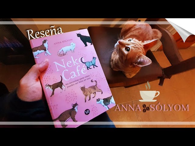 Vídeo relacionado con NAVIDAD EN EL ACOGEDOR CAFÉ DE LOS GATOS