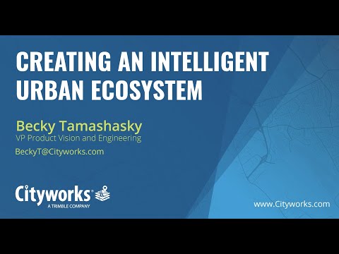 Creating an Intelligent Urban Ecosystem