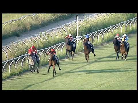 Galoppo 08/07/2020 - 4ª corsa