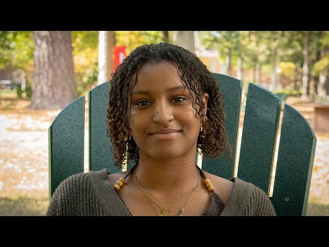 Witness21 Editor  2024 11 24