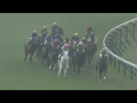 2023.05.14 Victoria Mile (JPN) - Songline