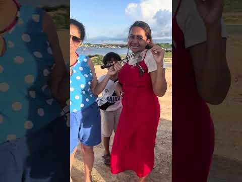 Praia da ponta branca em Tefé, tudo de bom! #amazonas #amazonia #turismo #viagem #ferias