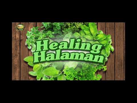 Ang pinaka-epektibong mga remedyo para sa kuko halamang-singaw Lunas para sa kuko halamang-singaw sa ibabaw ng counter presyo