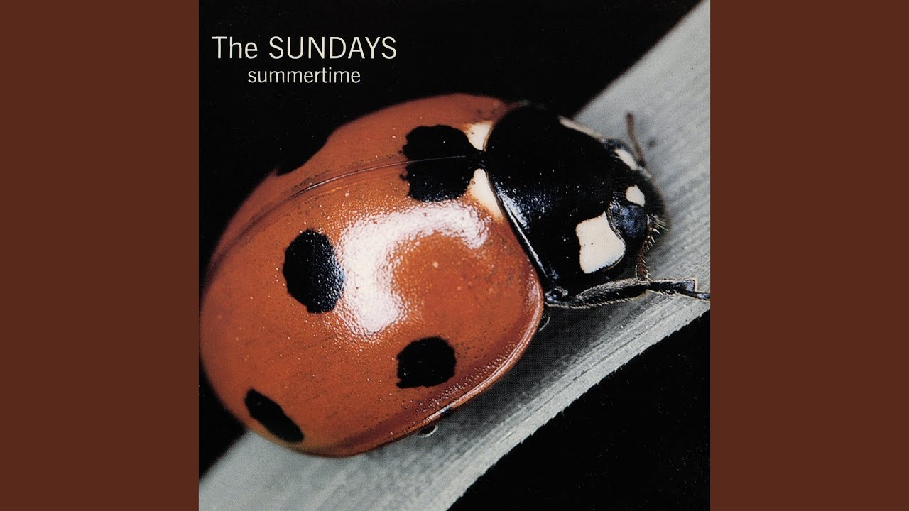 Here's Where The Story Ends (Live)