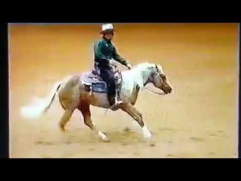 shawn flarida wimpys little step first go nrha futurity