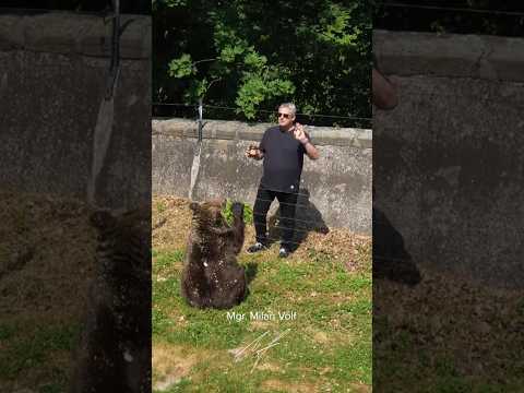 Marta a M&iacute;&scaron;a žij&iacute; v zahradě už 25 let 🐻🐻