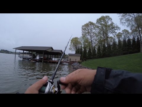 GoPro: Shannon Wheeler - Best Catch 6.19.15 - Fish