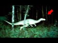 20 Dinosaurs Caught On Camera In Real Life