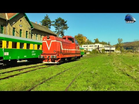 LDE1250 - 040-DF 69-0003-9 la Manevra/Shunting in Gara Anina Station - 24 October 2015
