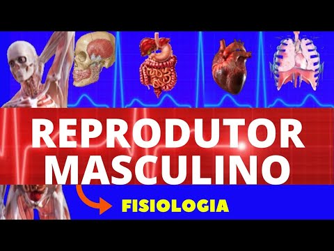 PHYSIOLOGY OF THE MALE REPRODUCTIVE SYSTEM (GUYTON PHYSIOLOGY) - MALE REPRODUCTIVE PHYSIOLOGY