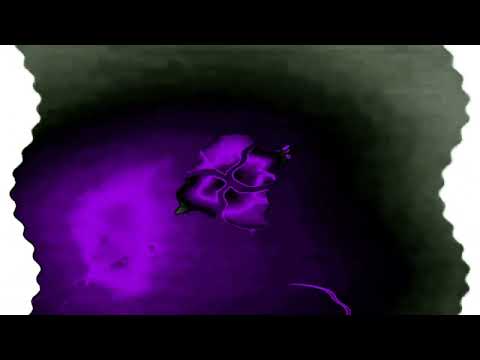 Windows 7 Startup Logon NOW MY VIDEO Effects In G-Major 1747
