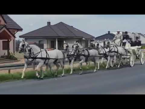 Wesele zaprzęg 6 - konny Aron Powozy Podrzecze