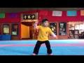 Shaolin Kung Fu Kids