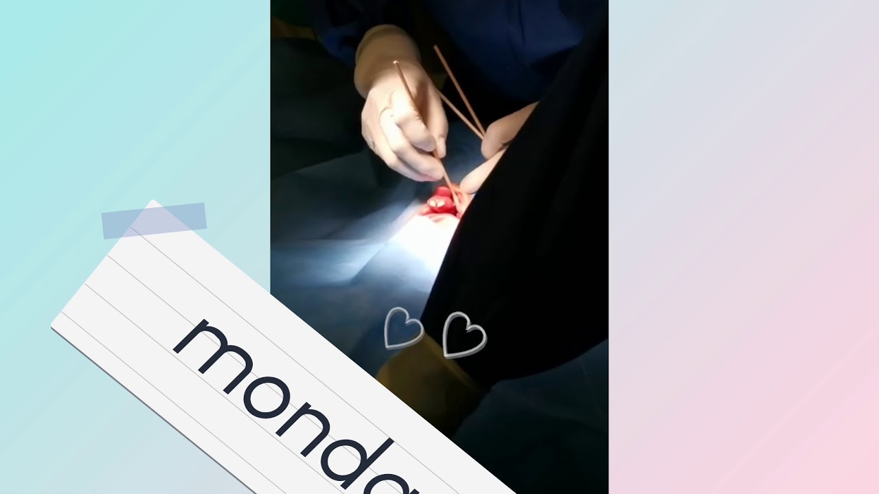 Zeyda Oliman Hoyos-11