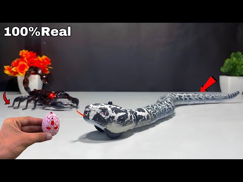 RC Jungle Fastest Snake VS Realistic Scorpion Unboxing & Testing Prank Gadgets - MKR Modified