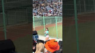 【TeamTaiwan】#登峰造極 #衣宸 #包子 #禹菡 #冬季聯盟@斗六棒球場 20241130 #台湾チア #啦啦隊  #cheerdance #cheerleader #cpbl #awb