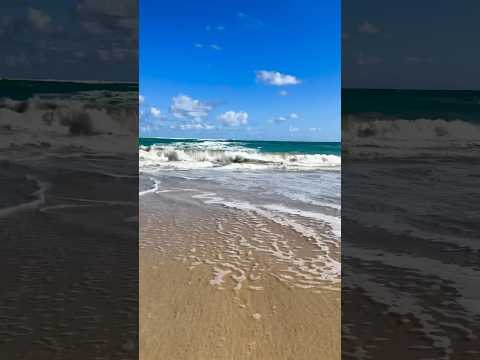 Les Chansons de Bilitis #Bilitis #FrancisLai #Shorts