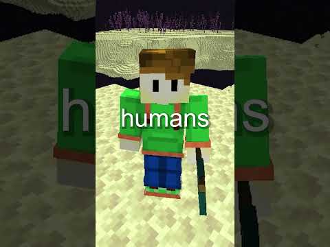 The Meaning Behind The End City In Minecraft