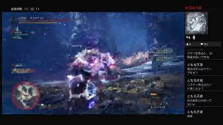 MHW ice アルバトリオン対策　参加型