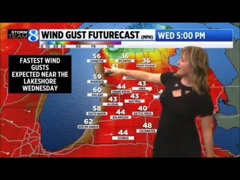 Storm Team 8 forecast, 11 p.m., 112525