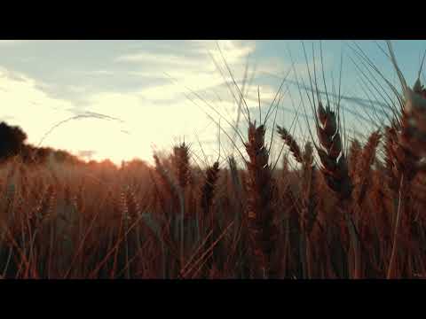 RiKTA - Scent Of The Summer [Trance]