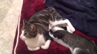 Sophie and Steven