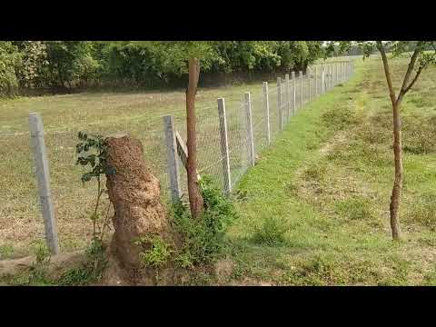 3 Acre Agricultural/Farm Land for Sale in Thittacheri, Nagapattinam