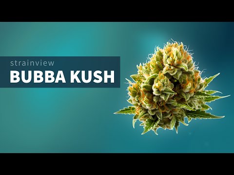 Bubba Kush - StrainView