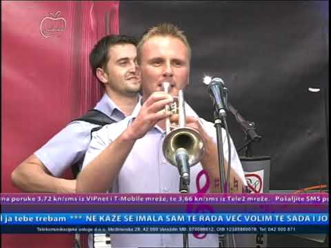 Ansambl Prijatelji Zagorja - Zagorski smo lepi dečki