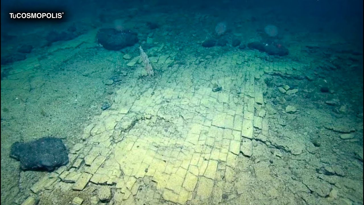 txAiA-BMRaw/default.jpg