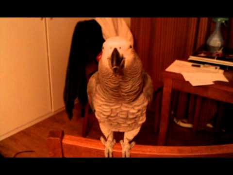 Don't go there girlfriend.