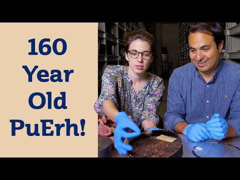 Exploring hidden TEA TREASURES at Kew Gardens - London