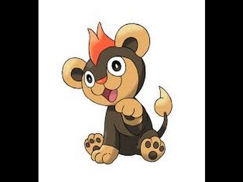 comment faire xp ses pokemon rapidement