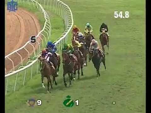 (129) The B.T.C.Anniversary Cup(Gr.2), Jul 15, 2018 WINNER: CAVALLO VELOCE