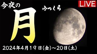 【LIVE】ちょっとふっくらな　お月見ライブカメラ/千葉・幕張 (2024.4.19〜20)