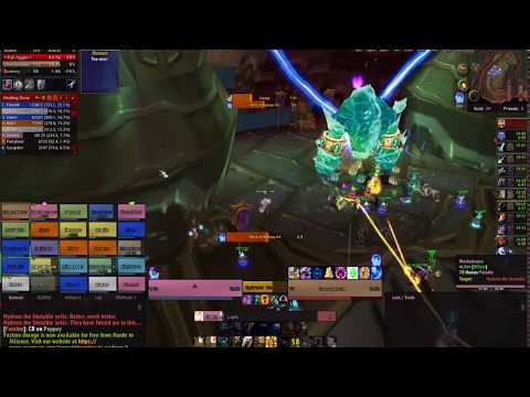 Holy pala POV Hydross Boss Warmane server