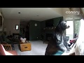 Bear Breaks Into Colorado Home, 