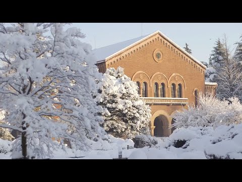 一橋大学（国立市）の景色『冬』Hitotsubashi in Winter