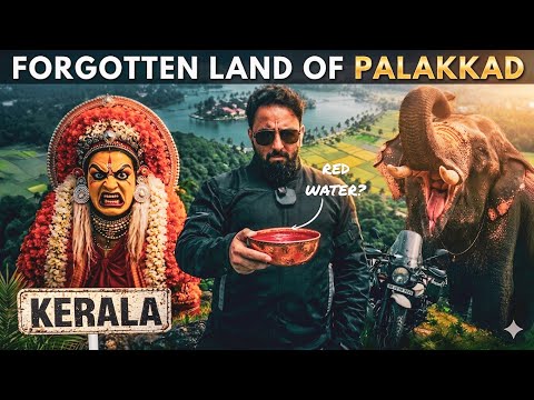 Discovering Ancient Kerala Village Life, Kavu Forest Temples & Paddy Field Tourism 🌴🐘