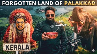Discovering Ancient Kerala Village Life, Kavu Forest Temples & Paddy Field Tourism 🌴🐘