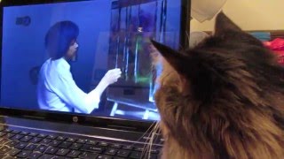 Cat Watches Bob Ross Video, Purrs, Repeats Video With Her Paw