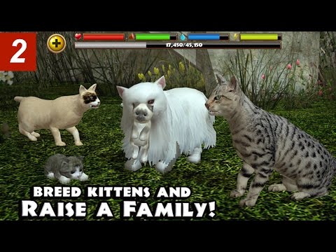 Stray Cat Simulator - Part 2- By Gluten Free Games -Compatible with iPhone, iPad, and iPod touch - YouTube