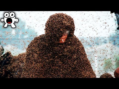 The Craziest World Records OF ALL TIME!