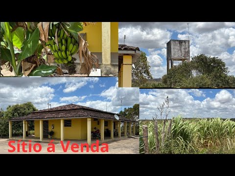 PROPRIEDADE A VENDA 22 HECTARES S.S DE LAGOA DE ROÇA PB ZAP 83 9 9617-1757 IVANILSON CORRETOR 