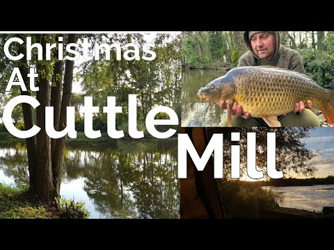 A Carp fishing session at Cuttle mill over the Christmas period.