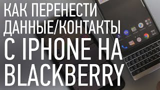 Как перенести данные с iPhone на BlackBerry OS Android